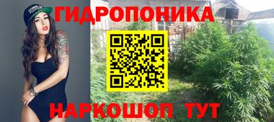 амф Камышлов