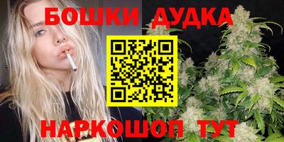 сатива Канаш